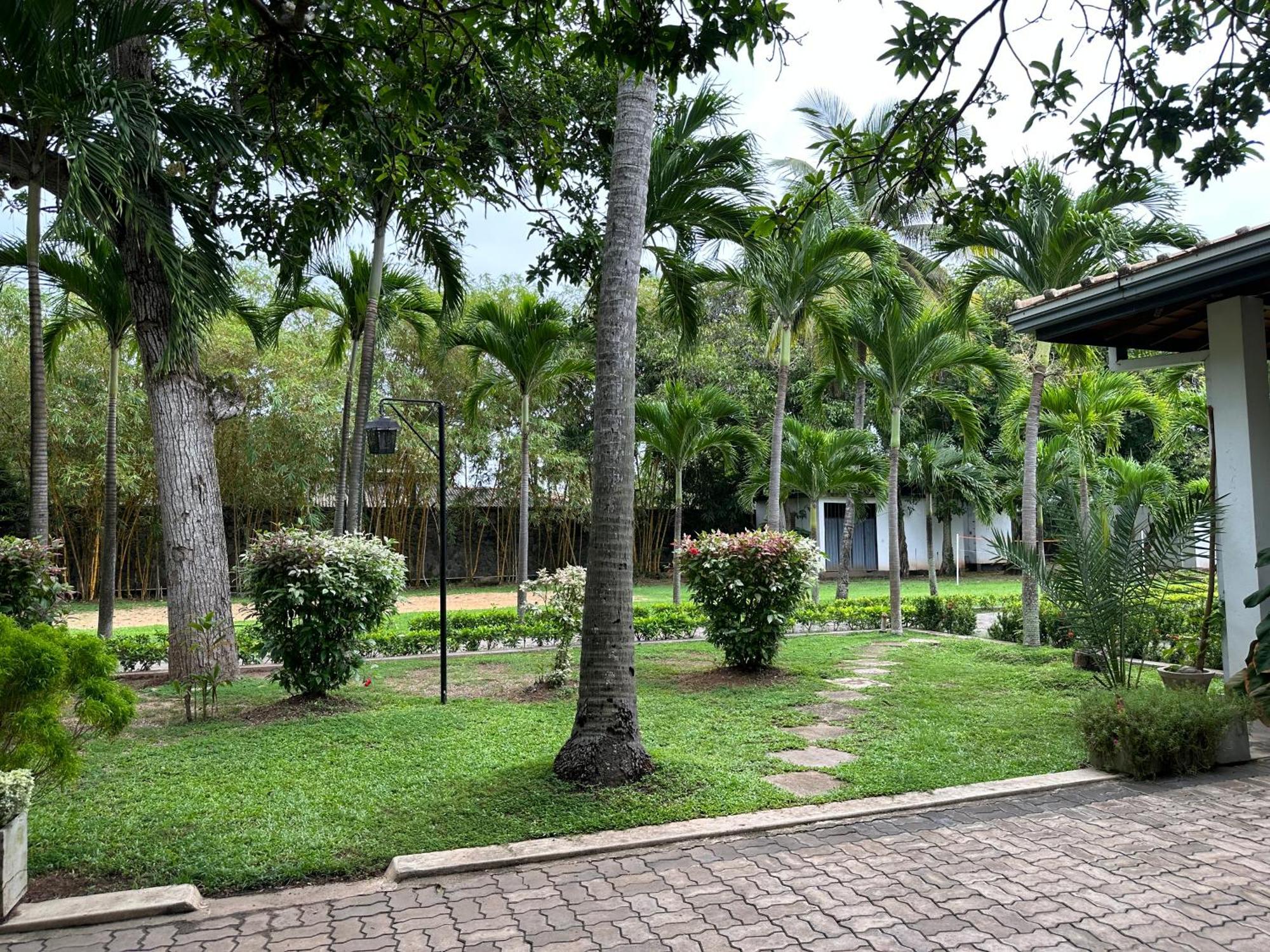 Amaluna Resorts Negombo Exterior photo