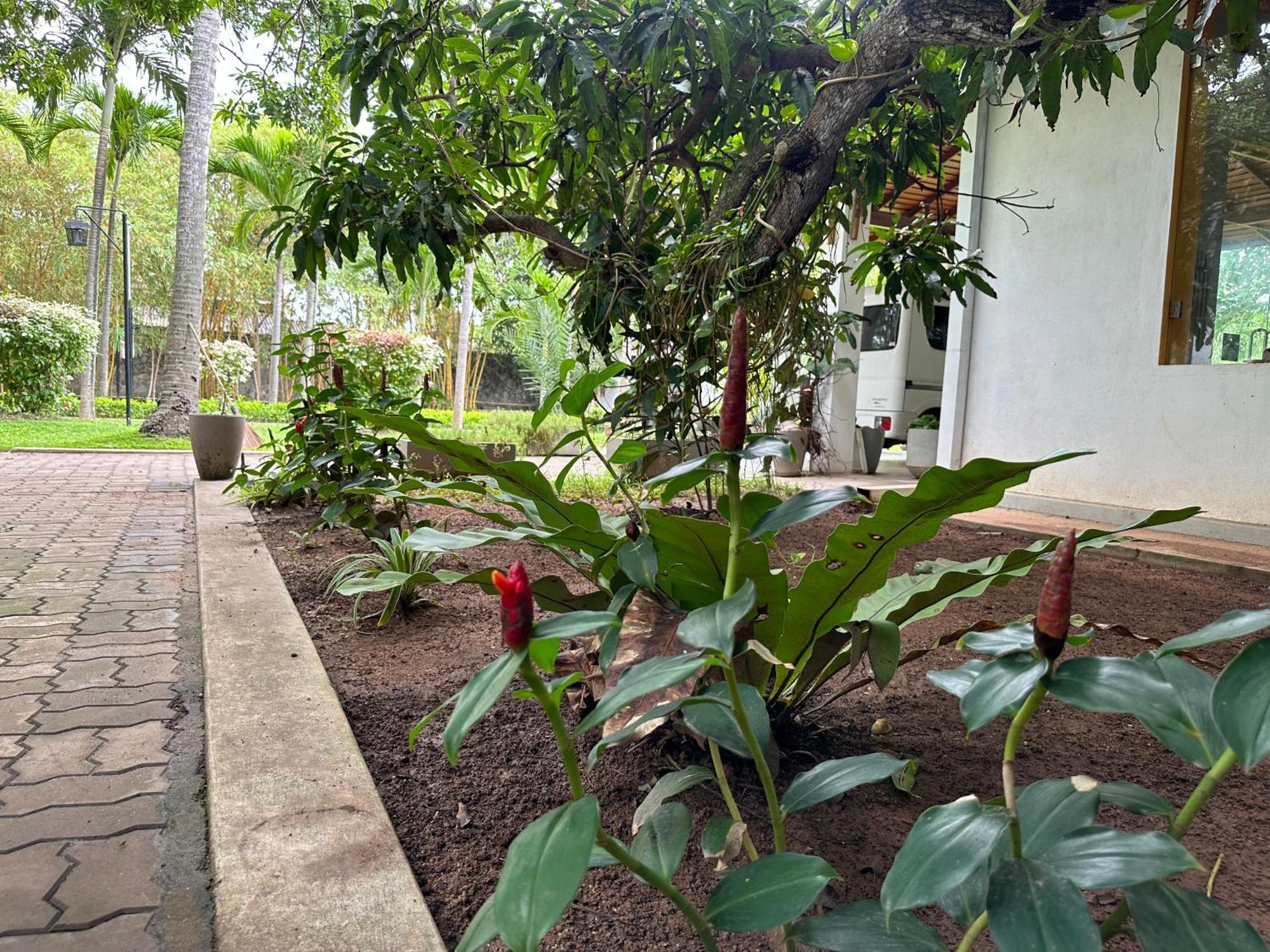 Amaluna Resorts Negombo Exterior photo