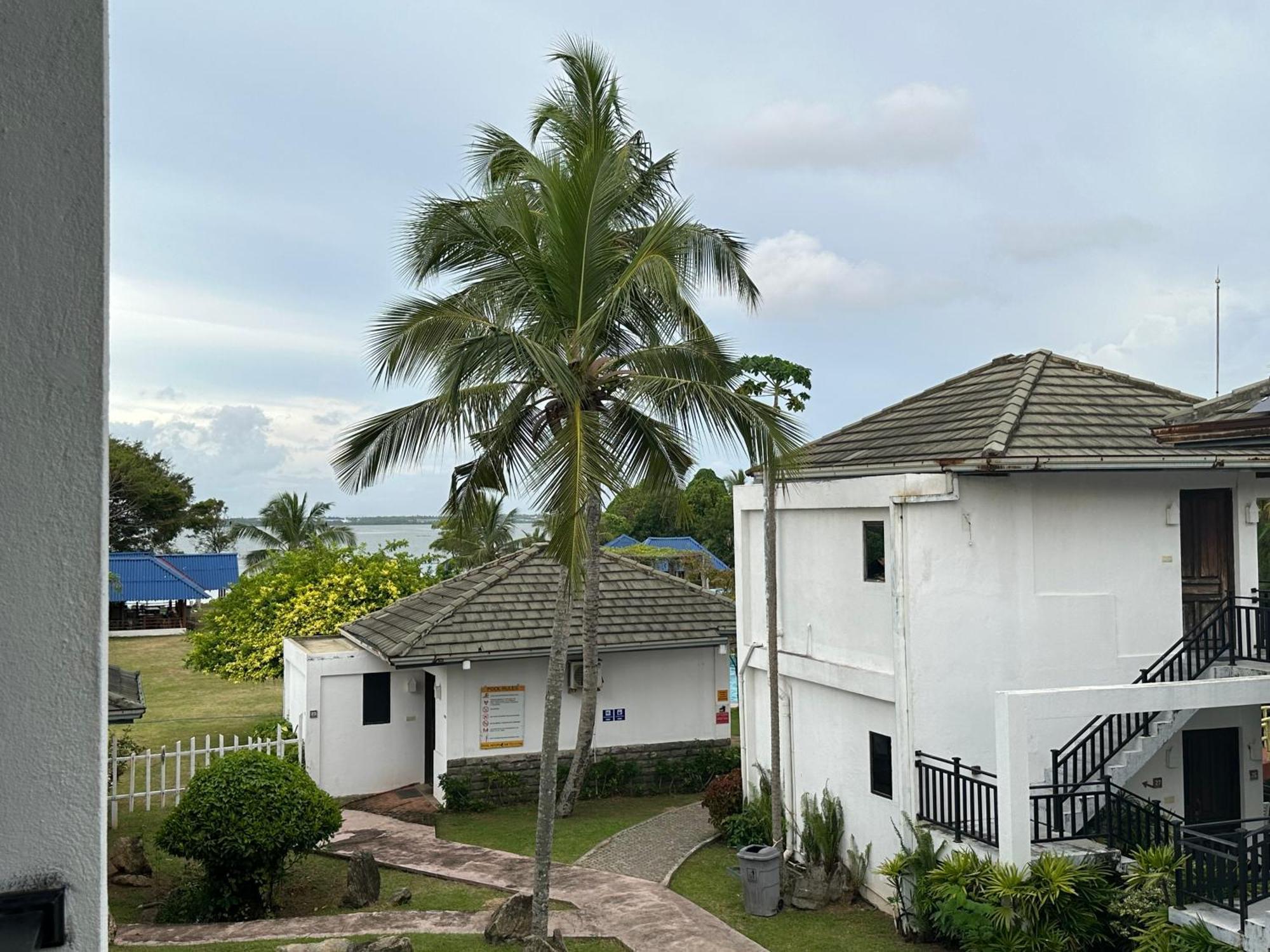 Amaluna Resorts Negombo Exterior photo